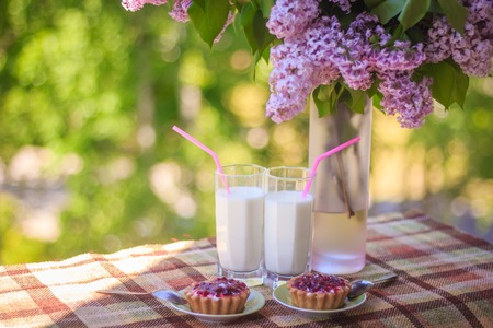 Milk in glasses and branches of lilac in a vase. Milk in a glass, branches of a lilac bush in a vase, cookies. Breakfast in natureの写真素材
