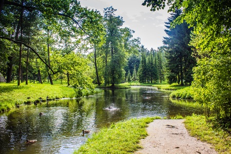 Summer paths of the park. Green alleys. Grass, foliage, trees. Bright park. Summer Park Backgroundの写真素材