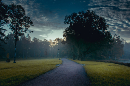 Morning misty autumn park. Misty morning. Fog in the park. Picture autumn park. Background foggy autumn park. Park at sunrise in autumnの写真素材