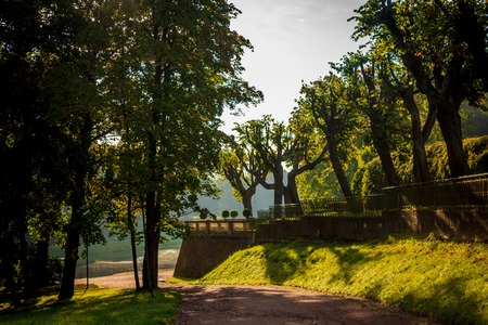 Morning autumn park. Picture autumn park. Park at sunrise in the fall. Sunny morning. Beginning of autumn. September Just started to fall leaves in the parkの写真素材