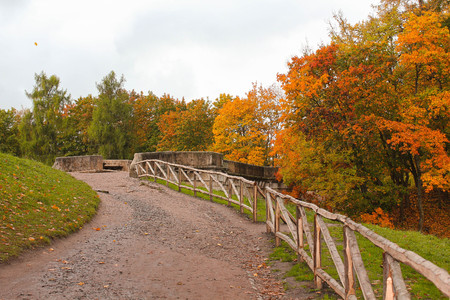 Autumn park in the morning in cloudy weather. Picture autumn park. September landscapes in the park. Overcast weather. Park alleysの写真素材