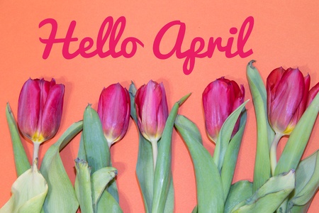 Banner hello april. Hi spring. The second month of spring. Welcome card Hello new monthの写真素材