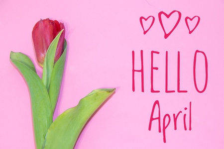 Banner hello april. Hi spring. The second month of spring. Welcome card Hello new monthの写真素材