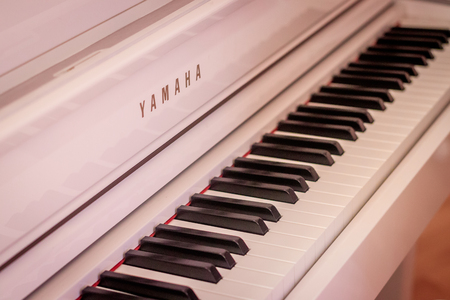 Piano keys. Musical instrument. Live music. Play the keys. Russia Gatchina August 25 2018のeditorial素材