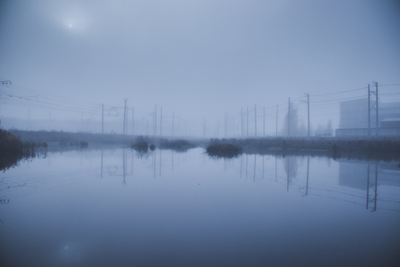 fog over the swamp. marshland. fog over the water. Mysticの写真素材