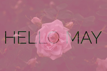 Banner hello may. Welcome picture. New month. Warm month. the month of May. Spring month. Hi spring.