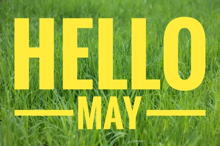 Banner hello may. Welcome picture. New month. Warm month. the month of May. Spring month. Hi spring.の写真素材