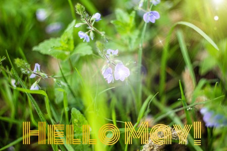 Banner hello may. Welcome picture. New month. Warm month. the month of May. Spring month. Hi spring.