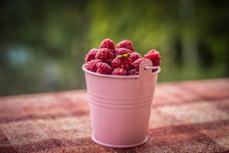 Pink raspberry bucket. Sweet summer berries. Raspberry berry. Garden raspberry berry. Natural productsの写真素材