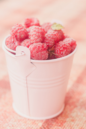 Pink raspberry in the bucket.の写真素材