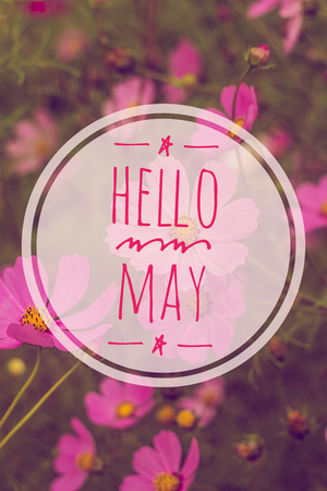 Banner Hello May. Greeting the new month. Picture with flowers.の写真素材