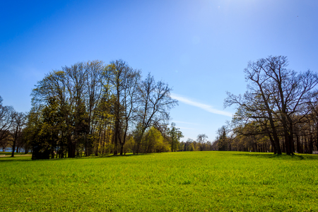 Spring Park. Park in May. Park in spring in sunny weather.の写真素材