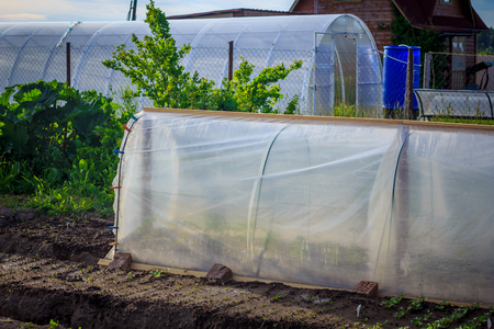 Greenhouse on the dacha. Greenhouse for vegetables. Household . growing vegetables.の写真素材