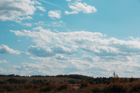 Summer landscape in the field. Field sky clouds. Russian spacesの写真素材