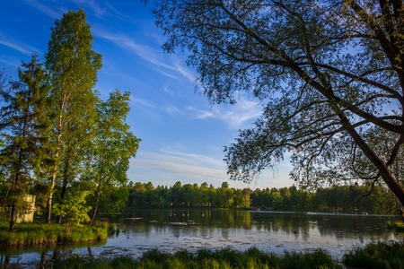 Spring evening park. City Park. Russian green park. Silence in the city park.の写真素材