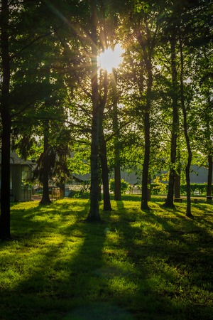 Spring evening park. City Park. Russian green park. Silence in the city park.の写真素材