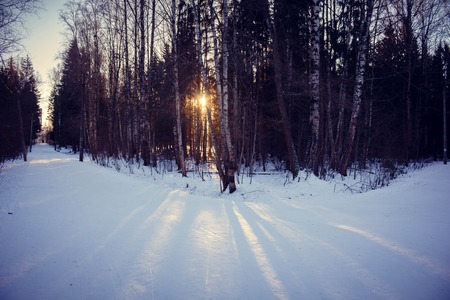 Winter Park. Snow park. Picture winter park. Winter landscape. Winter natureの写真素材