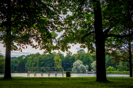 Summer park. Background summer park. Russian well-groomed park. Beautiful alleys of the parkの写真素材