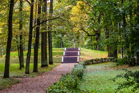 Autumn park in cloudy weather. overcast weather. autumn. sad picture. sadly sad timeの写真素材