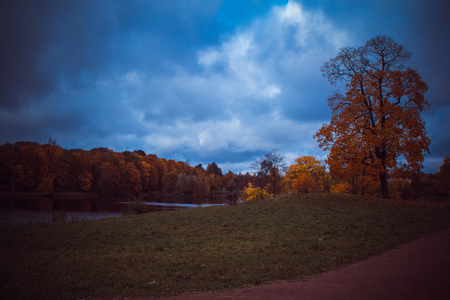 Autumn park in cloudy weather. overcast weather. autumn. sad picture. sadly sad timeの写真素材