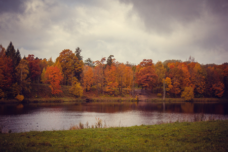 Autumn park in cloudy weather. overcast weather. autumn. sad picture. sadly sad timeの写真素材