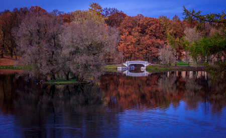 Autumn park in cloudy weather. overcast weather. autumn. sad picture. sadly sad timeの写真素材