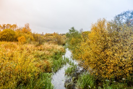 Autumn park in cloudy weather. overcast weather. autumn. sad picture. sadly sad timeの写真素材