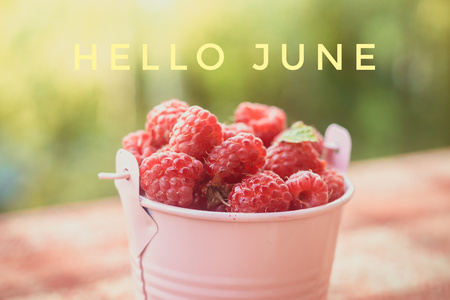 Banner hello june. Text on the photo. Text hello June. New month. New season. Summer month.