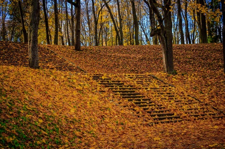 Bright sunny autumn landscape in the park. nature. autumn Park. Park Russiaの写真素材