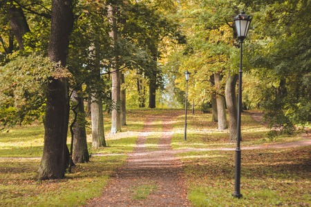Autumn park in clear sunny weather. Park of Russia. Golden autumn