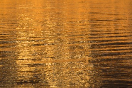 Texture background waves on the water. Water wave textureの写真素材