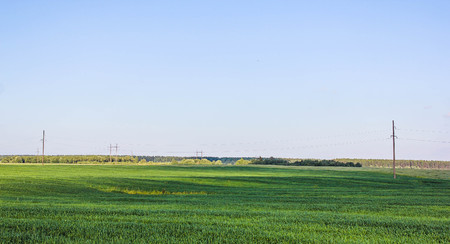 Summer landscape in the field. Sky and field. Beautiful summer landscape