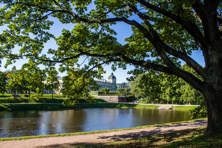 Spring Park with young greens. Russian park. Spring landscape. Young greens.の写真素材