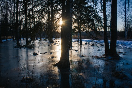 Spring park landscape with snow. The beginning of spring. March landscapeの写真素材
