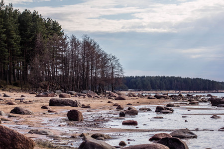 The Gulf of Finland . Summer sea. Sea with small waves. Waves on the beachの写真素材