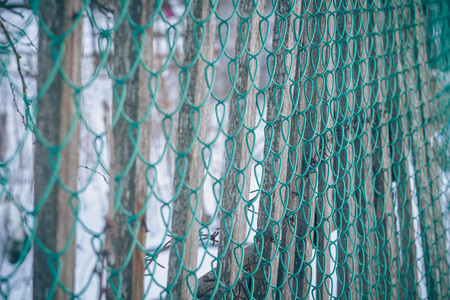 Texture mesh netting. Background fence. Transparent fence. Fencing Iron mesh chain-linkの写真素材