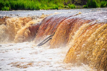 Sablinsky waterfalls. Little waterfall. The brown water of the waterfall. Waterfalls of Russia. Thresholds on the river. Strong water flow. Jets of water. Fast currentの写真素材