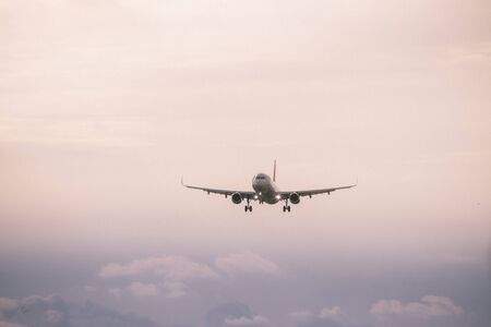 Airplane in the sky. Public transport. Air Transport. Pulkovo Airport. Russia St. Petersburg Pulkovo...