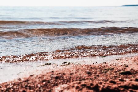 Sea in clear weather. Sea on a sunny day. Summer The Gulf of Finland. Small waves. Sea and beach. Background sea and sky blue.の写真素材