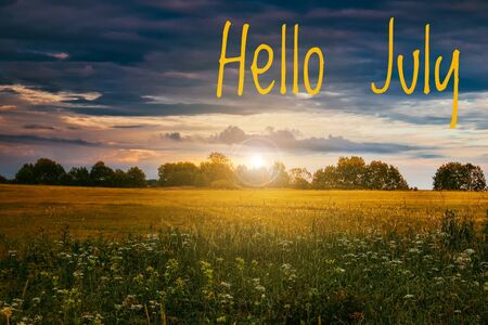 Banner hello july. New month. Welcome card Evening summer sunset. Summer landscape.の写真素材