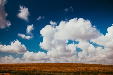 Russian open spaces. Crimea. Field. Summer Russian landscapes. Road views. Grass and sky. Background...