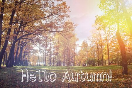 Banner hello autumn Trees in the autumn park. Seasonsの写真素材