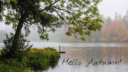 Banner hello autumn Trees in the autumn park. Seasonsの写真素材
