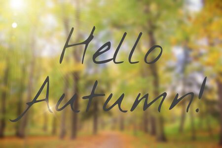 Banner hello autumn Trees in the autumn park. Seasonsの写真素材