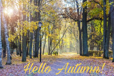 Banner hello autumn on the parkの写真素材