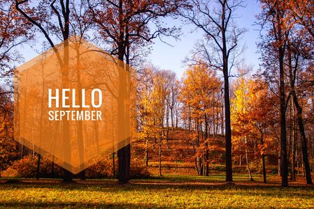 Hello September banner City Parkの写真素材