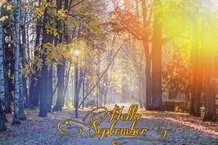 Hello September banner City Parkの写真素材