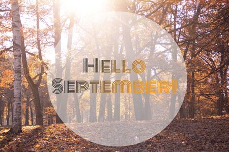 Hello September banner City Park
