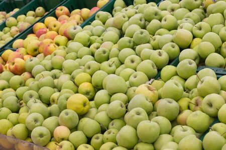 Showcase with apples in a supermarket. A lot of green apples. The choice of products. Fruit abundanceの写真素材