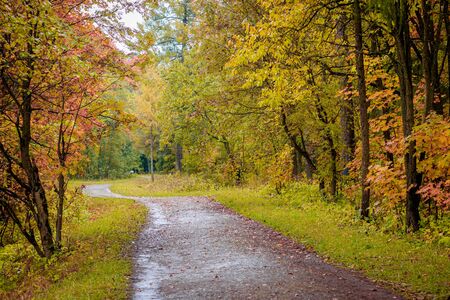 Autumn park landscape. Golden autumn . Sunny day in the autumn park with yellow trees. Beautiful...